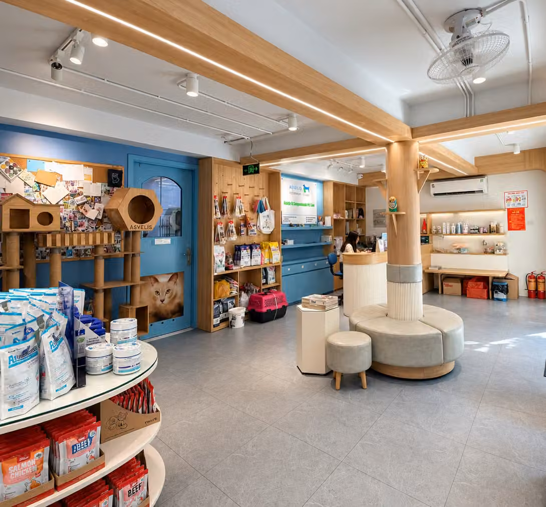 La boutique de la clinique : nourriture, arbres à chat et caisse de transport sur les étagères, l’accueil en arrière-plan
