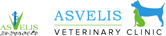 ASVELIS Veterinary Clinic